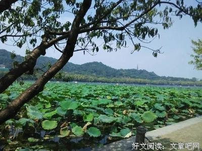 风情万种的名言_关于风情万种的名言