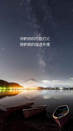 关于万家灯火的语句