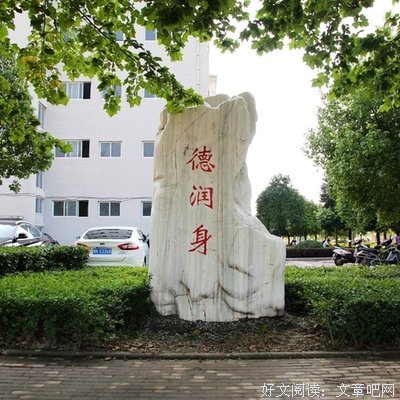 关于红楼梦的优美句子