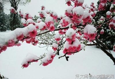 诗意人生23期：遣云追岁月，落墨写诗行