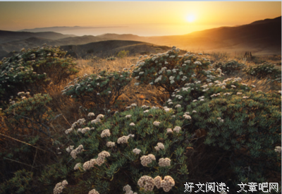 你少说一句话，那家人就多付几万块