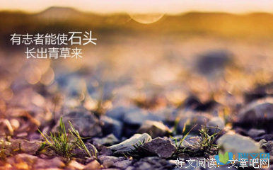 最全的《逆商》经典的句子