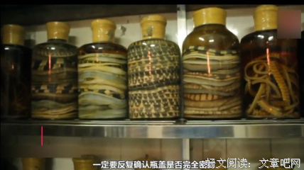 上百条毒蛇进村，村民越打越多，原因竟是…