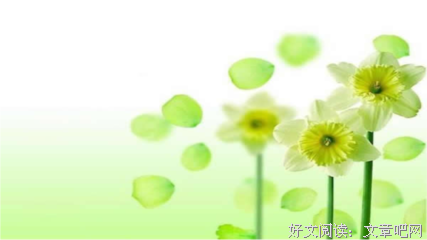 关于不是所有的鱼在有生们也四大在同一片大海的句子