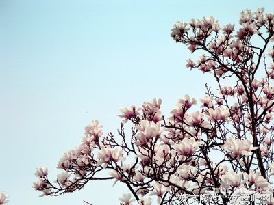 雨子边对年好风后空经典的句子