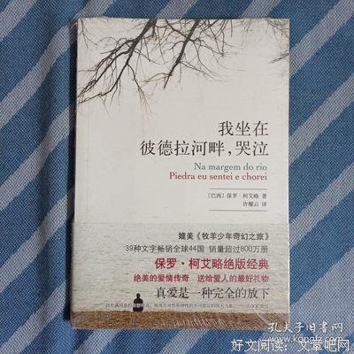 《我坐在彼德拉河畔，哭泣》读后感100字