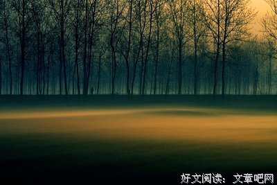 彷徨之刃的读后感大全