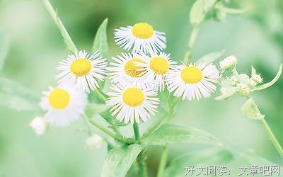 找恋爱对象如何不看走眼？