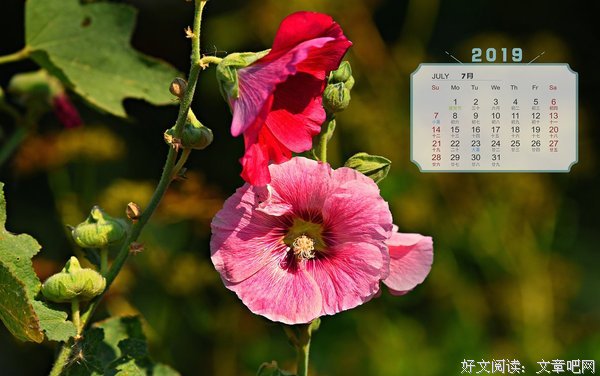 7月19日，上午办喜事，下午办白事！
