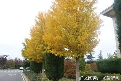 释怀，其实就在一瞬间