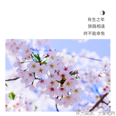 小清新短句。的句子