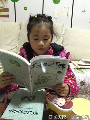 《地方性知识》经典读后感有感