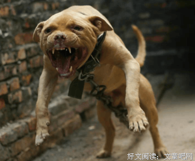 亲完之后该干嘛了