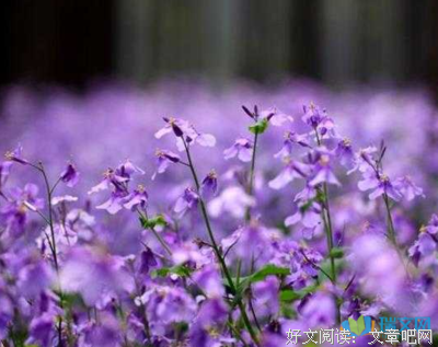 描写真情实感的语句摘抄
