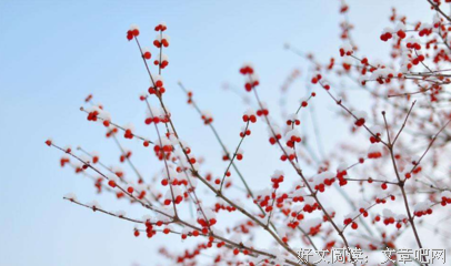 鼓舞的句子