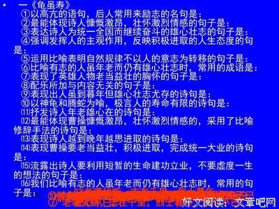 雄心壮志的名言_关于雄心壮志的名言