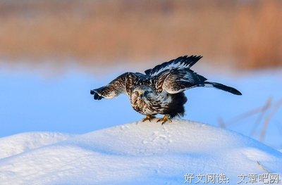 关于谨小慎微的语句