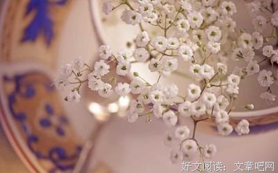 有关狭路相逢的美句摘抄
