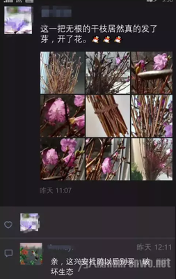 起死回生的句子