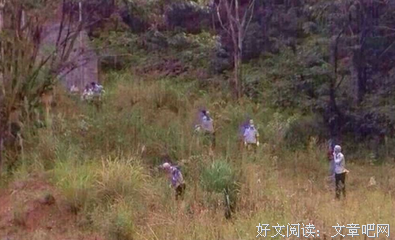 “这样发朋友圈的女孩，才最招人喜欢。”