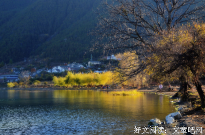 我就毒舌，你奈我何？名句欣赏