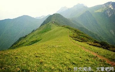 听过无痛被绿吗？被这个男人绿完，我居然感动哭了