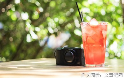 小清新的句子