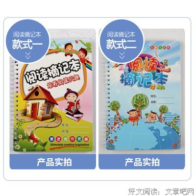 更大的希望读后感摘抄