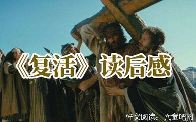 《诉讼中》经典读后感有感
