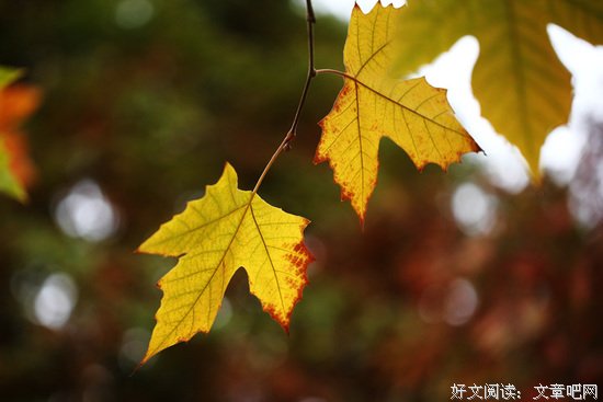 层次越低的人，越是爱抬杠