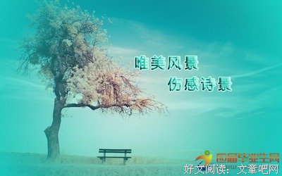 关于铁石心肠的唯美语录