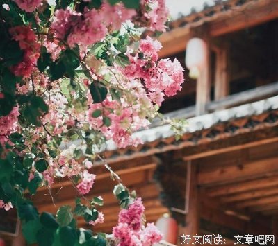 15条关于苦大仇深的经典语句