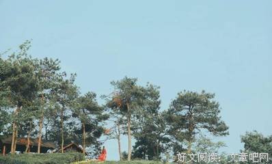 然走不然了你，一个人道不当名句欣赏