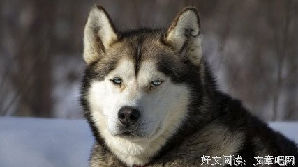 最经典的《二、中级修炼》经典句子大全