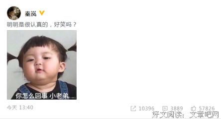 秦岚，你凭什么这么狂？