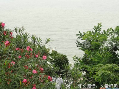 面朝大海，春暖花开名句欣赏