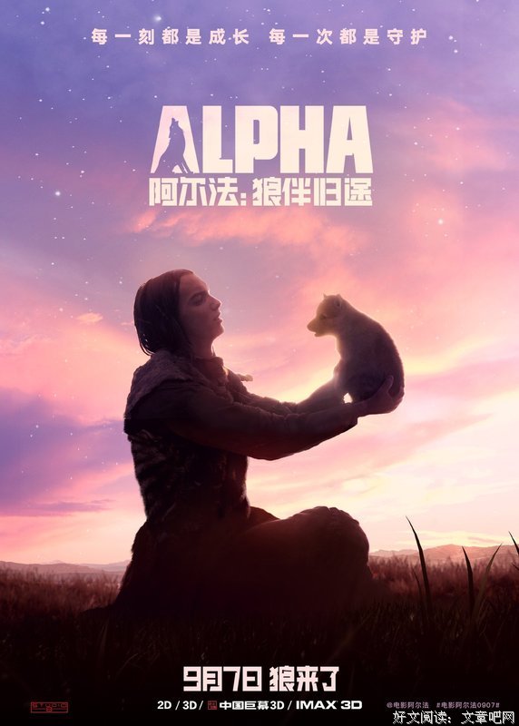 《阿尔法：狼伴归途》观后感摘抄