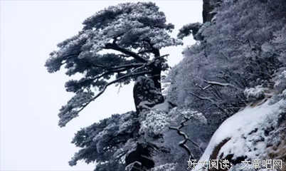 童年不缺爱读后感100字