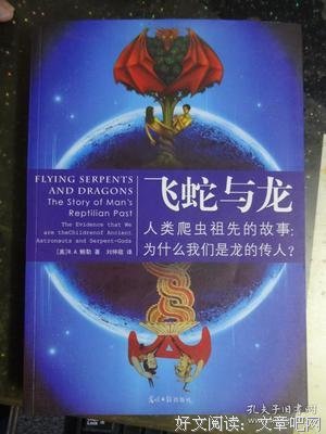 《飞蛇与龙》读后感精选
