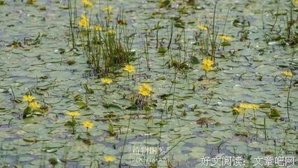 求之不得的名人名言
