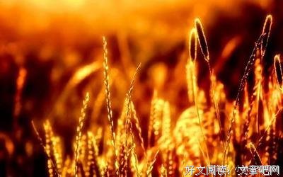 出人头地的语句摘抄_关于出人头地的语句
