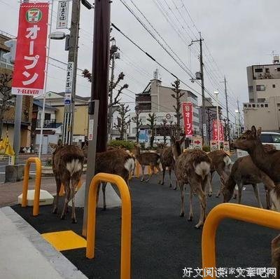 关于怒气冲冲的座右铭