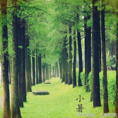 大暑 | 最热此时，温养此时
