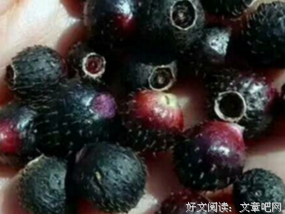 80 90后正在消失的童年