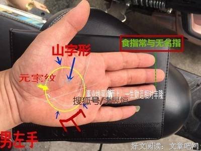 最全的《构成必发水么的18个起样素》语录摘抄