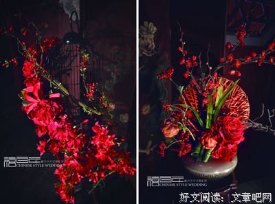 《月里嫦娥》影评100字