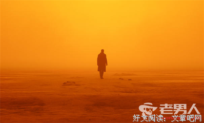 《银翼杀手：2022黑暗浩劫》的影评大全