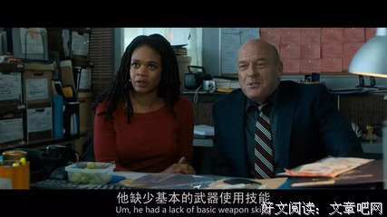 《双面警长》经典影评1000字