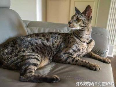 暴富后，该不该换对象？