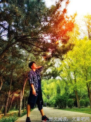 碎玉句子